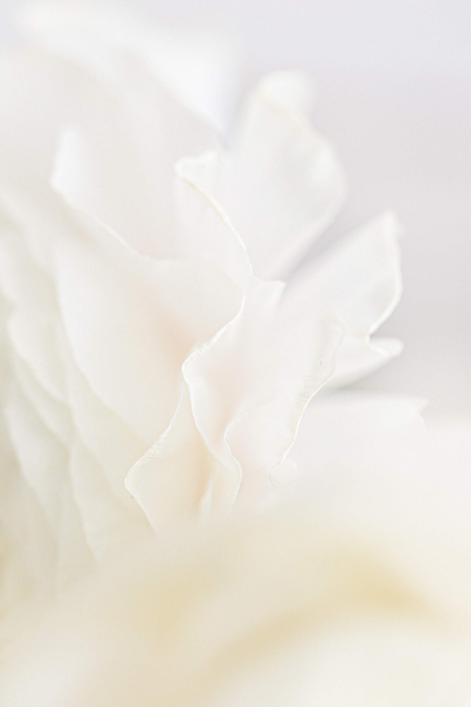 Inspiration Printemps